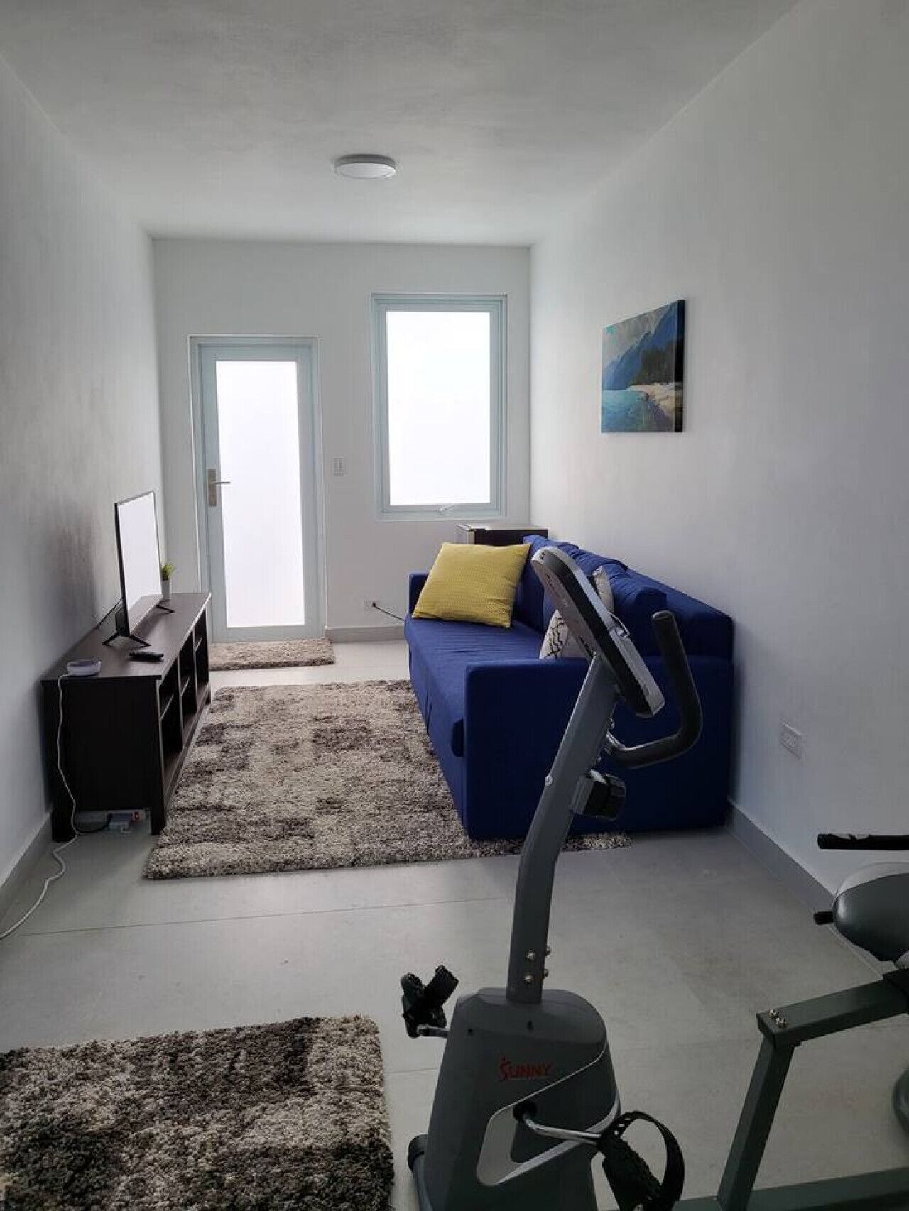 A living room with a blue sofa, a standing fan, a treadmill, and a painting on the wall.