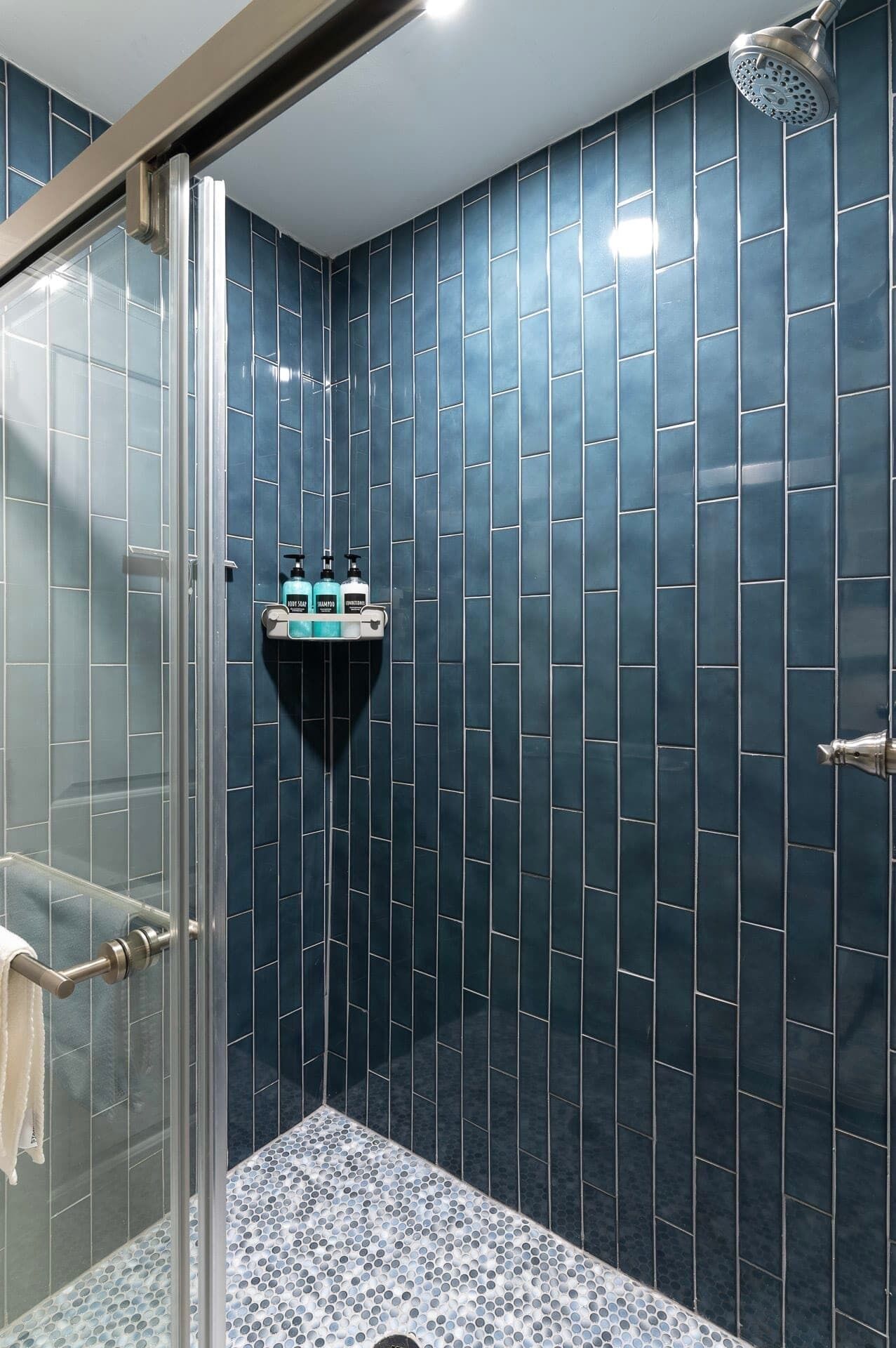 Shower, hair dryer, towels, shampoo