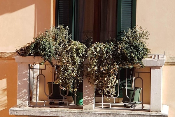 Detalle del exterior