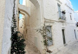 Apartment | Exterior - Beautiful Garden Apartment in Cisternino (Cisternino)