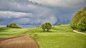 Paisaje rural con un camino de tierra, campos cubiertos de hierba y árboles bajo un cielo nublado.