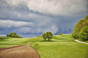 A rural landscape with a dirt road, grassy fields, and trees under a cloudy sky. - Farm Stay Ana (Ivancna Gorica)
