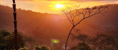 Vista desde la propiedad