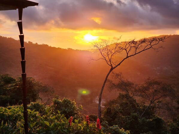 الإطلالة من المنشأة