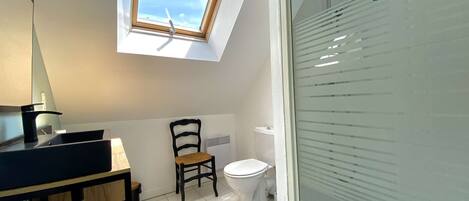 A small bathroom with a skylight, a toilet, and a chair.