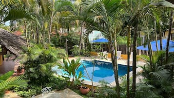 Outdoor pool, open 8:00 AM to 8:00 PM, pool umbrellas, sun loungers
