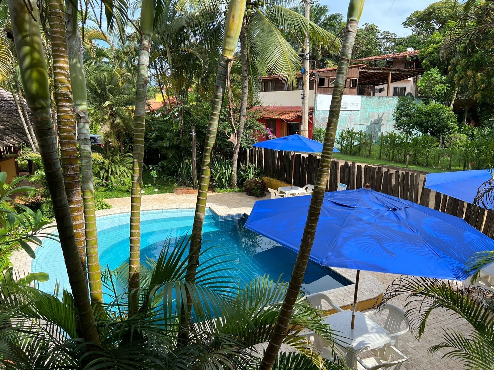 A swimming pool with blue umbrellas, surrounded by palm trees and a wooden fence.