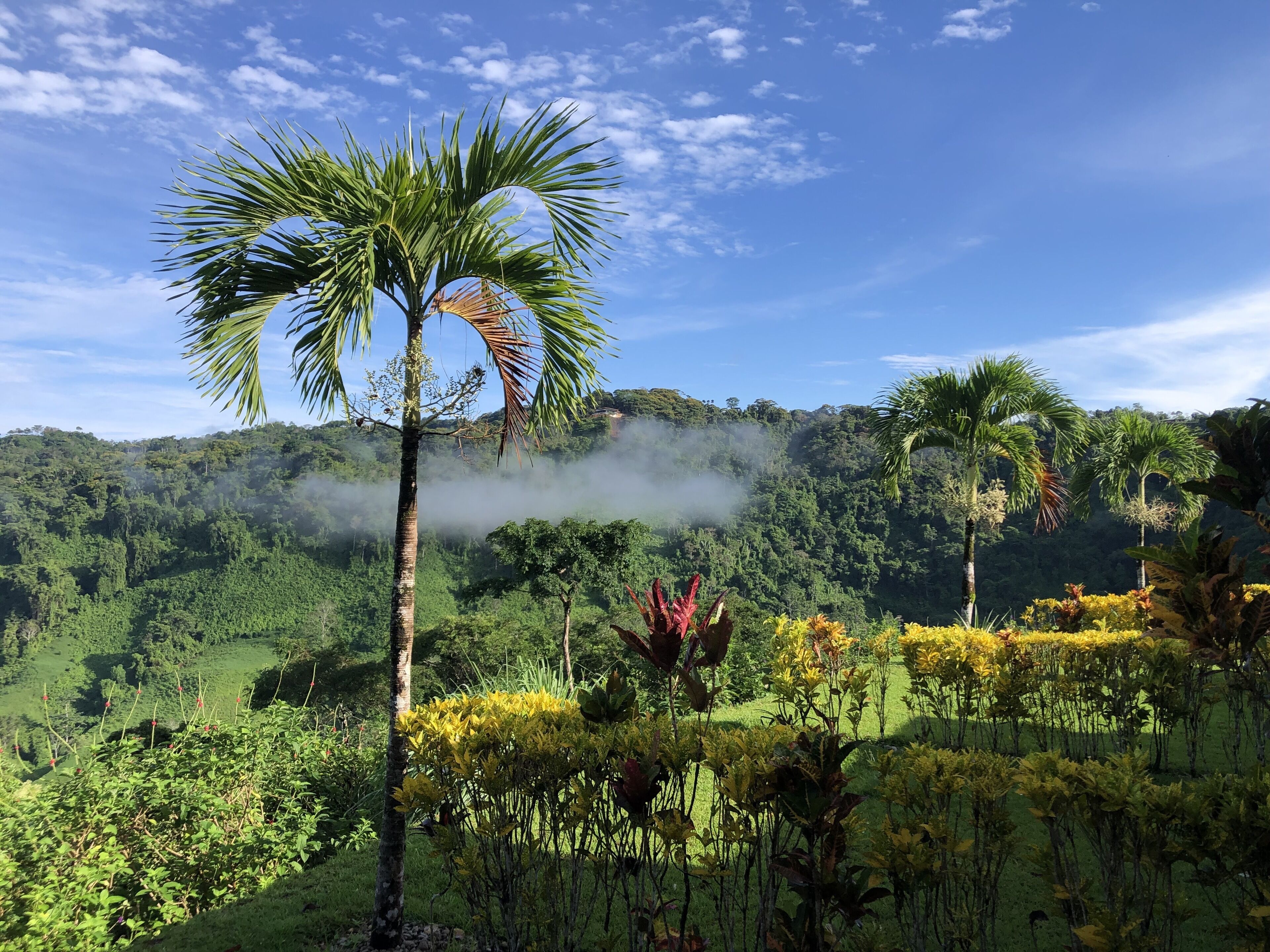 Àrea exterior de l'allotjament