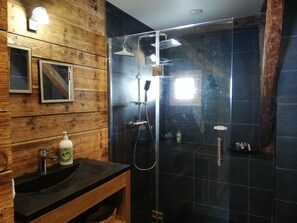 Bathtub, hair dryer, toilet paper