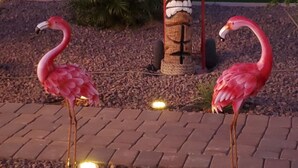 Dos flamencos en un jardín con un tótem decorativo y un camino de ladrillo.