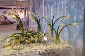 Restaurant - Yuanli International Hotel (Suichang)