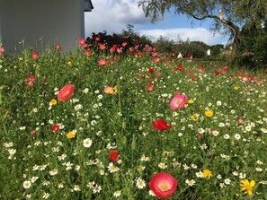 Property grounds - Fough East, Oughterard (Oughterard)