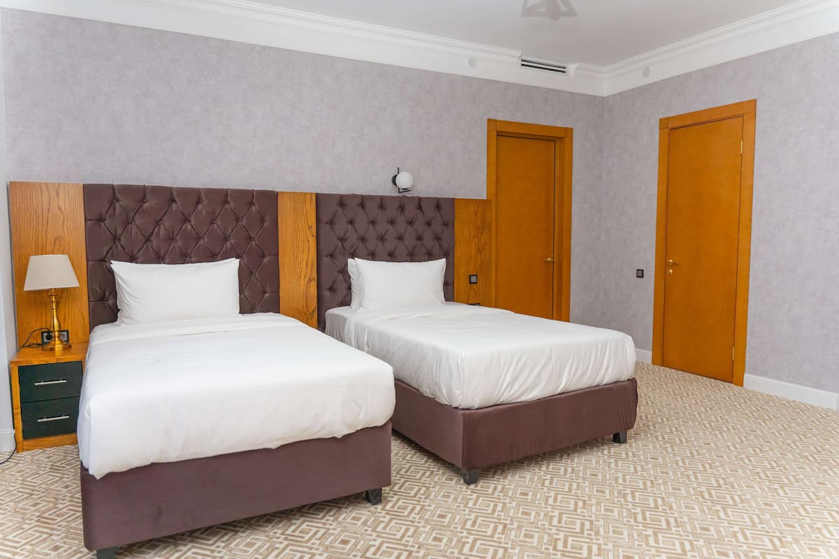 Chambre Standard, 2 lits une place, non-fumeurs | Minibar, bureau, Wi-Fi gratuit, draps fournis