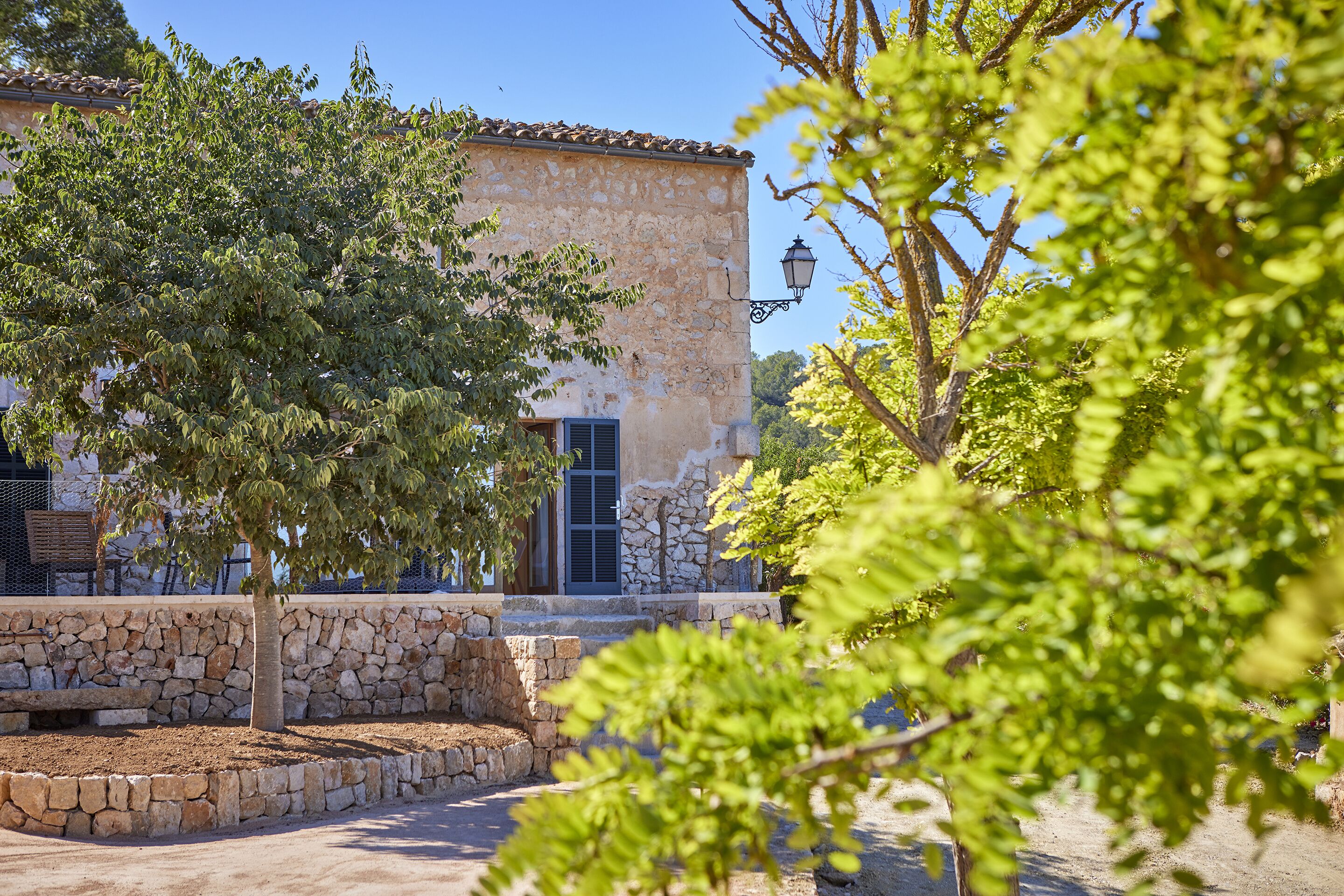 Foto - Finca Son Cladera