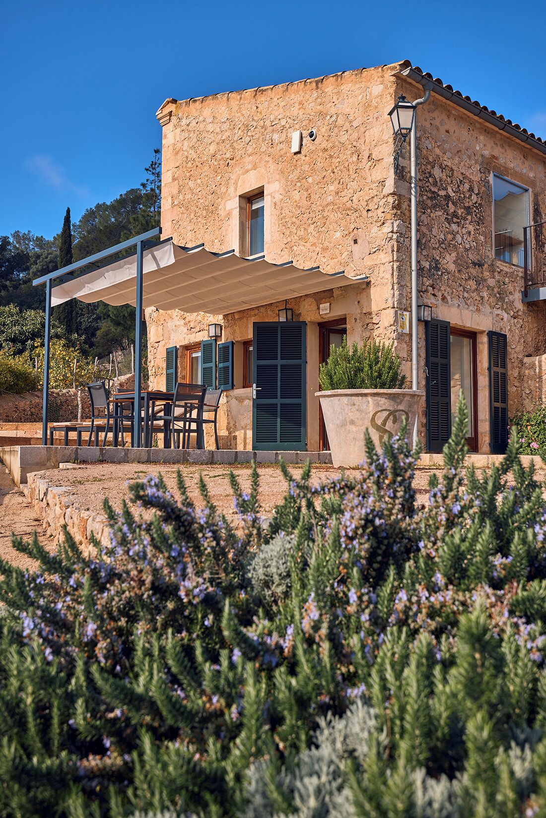 Foto - Finca Son Cladera