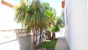 Un estrecho sendero bordeado por palmeras y una pared blanca con una valla metálica decorativa.