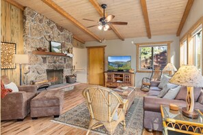 Smart TV, fireplace, DVD player, books