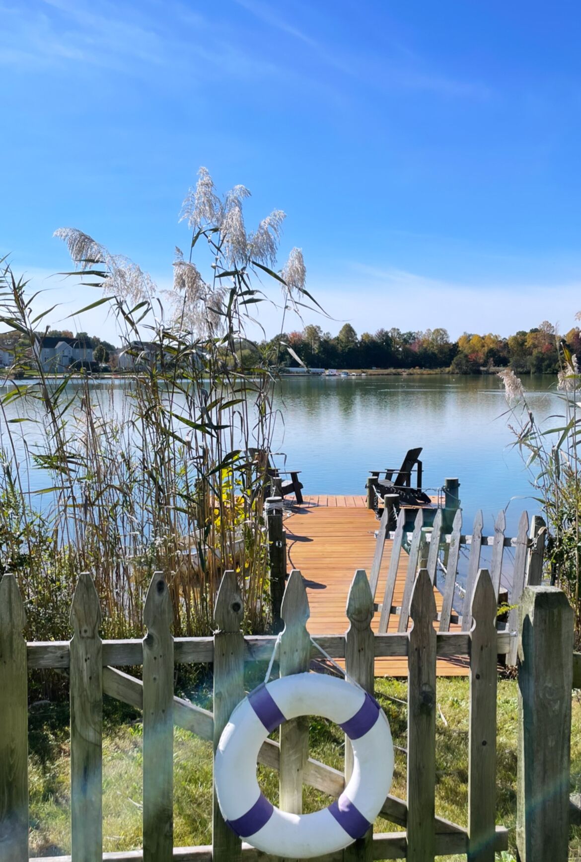 The Lake House