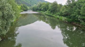 Un río rodeado de abundante vegetación y colinas.