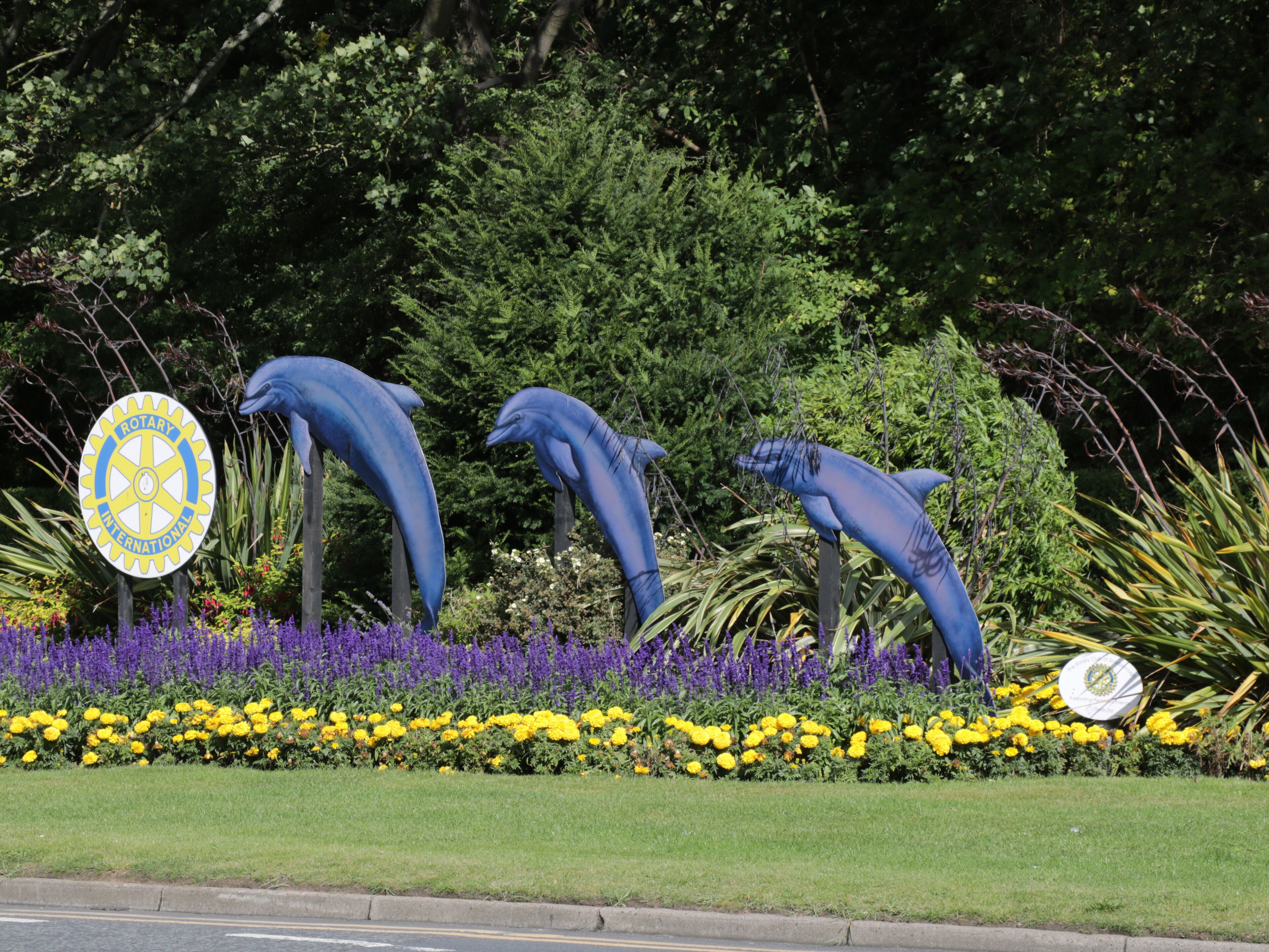 A sculpture of dolphins in a garden with a Rotary International sign and yellow flowers.