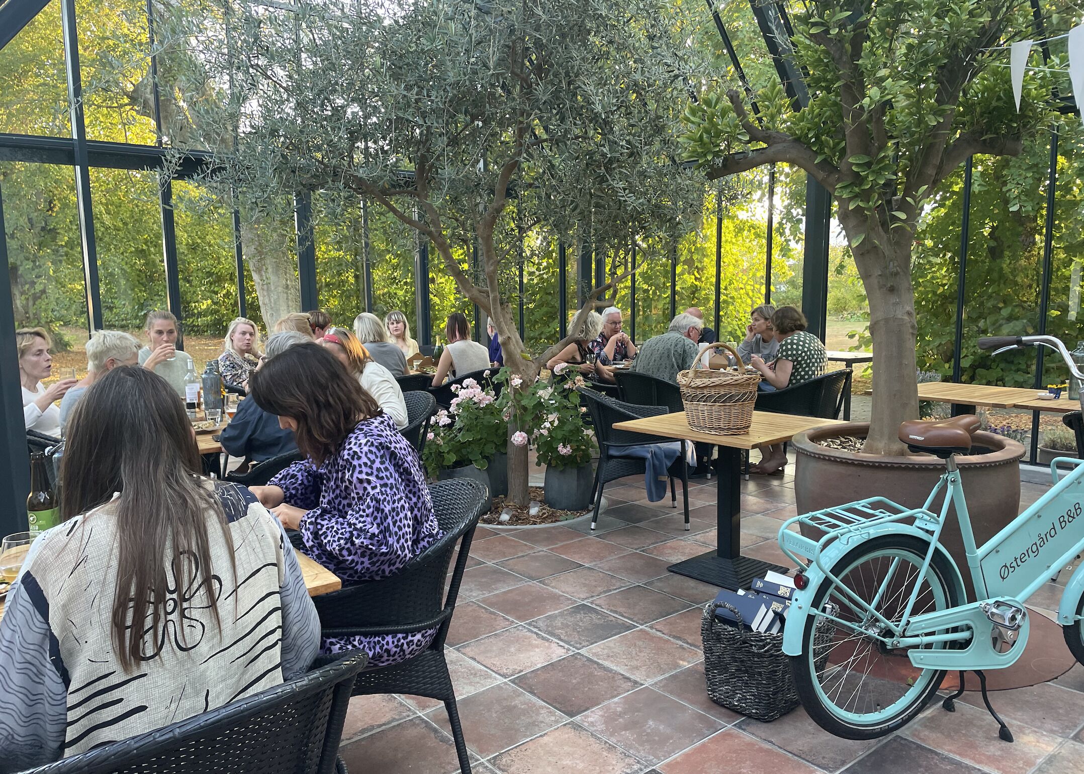 Un café en plein air, avec des tables et des chaises, entouré d’arbres et de verdure.