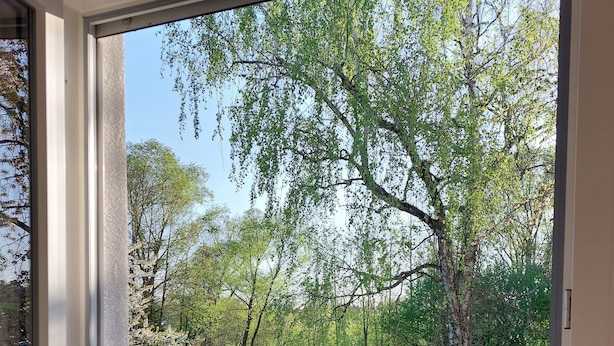 A view from a balcony with a metal railing, overlooking a grassy area with trees and a clear sky. - Fewo Provinzperle - newly designed - an ideal starting point for your tours (Freckenfeld)