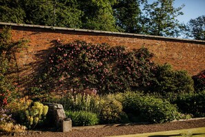 A brick wall with a climbing rose garden.