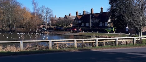 A riverside view with a wooden bridge, a row of traditional houses, and a green vehicle parked near the water.