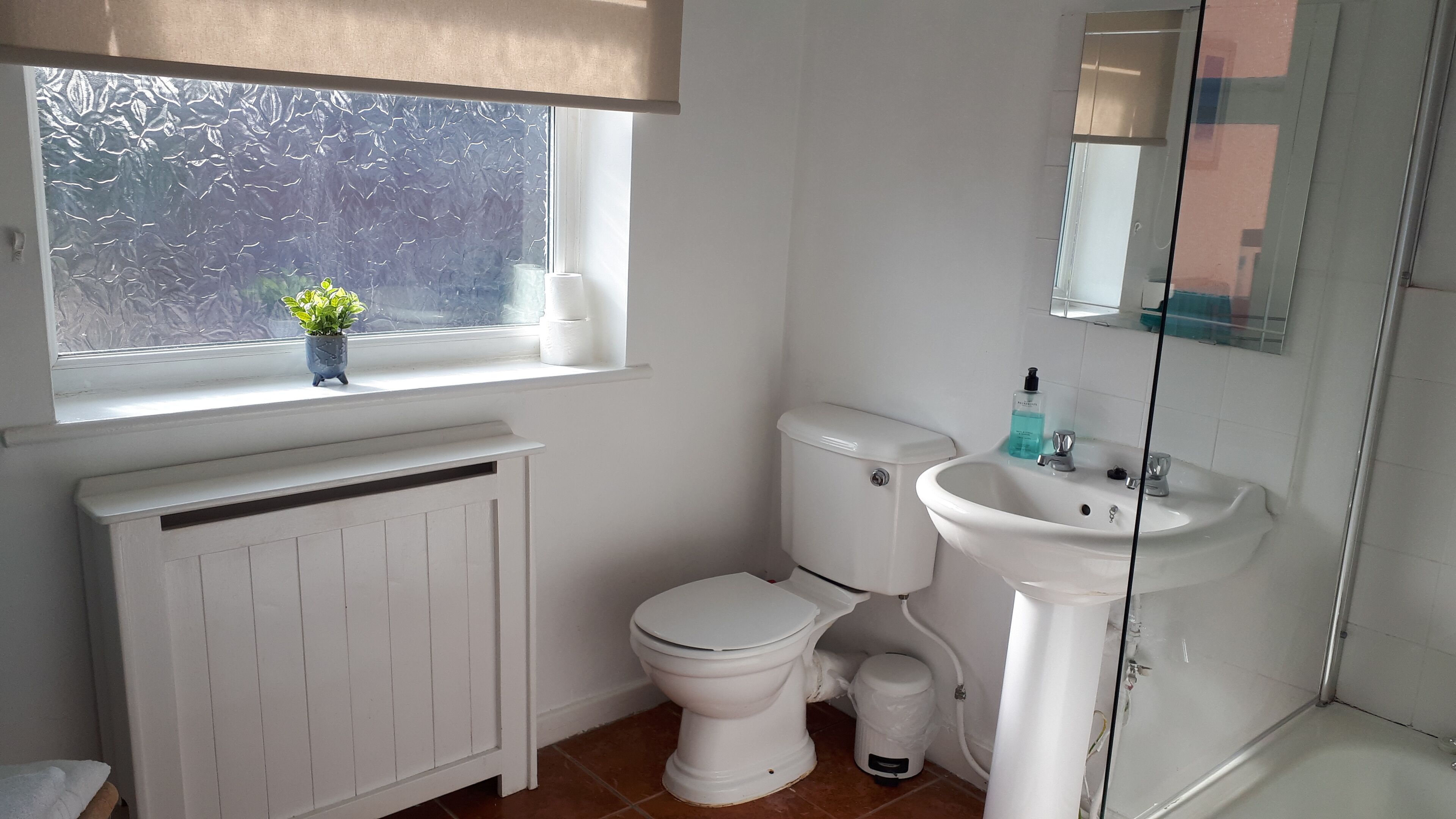 Un bany amb vàter, un lavabo, un radiador i una finestra amb una planta.
