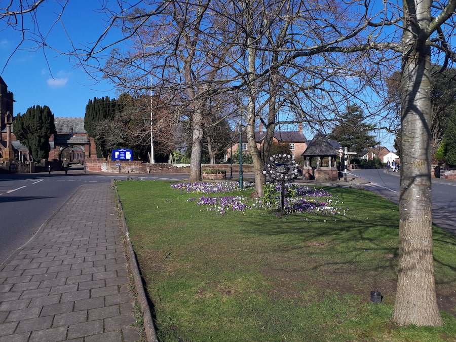 Casa | Área da propriedade