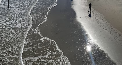 Reel close to the Beach - 2 blocks Pier/Beach