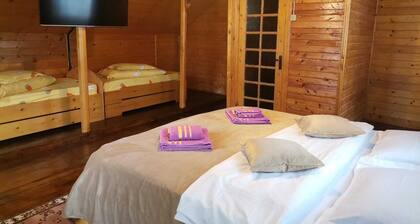 Casa EMY Busteni - Accommodation/Tourist attractions