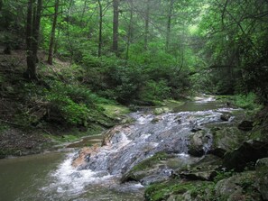 Property grounds - Cabin-Spectacular views, hiking & privacy 12 mi. to Boone (Deep Gap)
