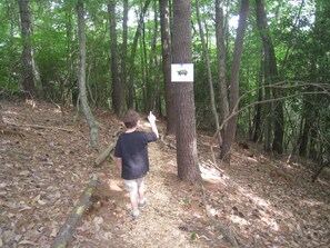Property grounds - Cabin-Spectacular views, hiking & privacy 12 mi. to Boone (Deep Gap)