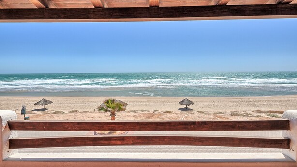 Une vue sur la plage avec un banc en bois donnant sur l’océan, des palmiers et des parasols de plage.
