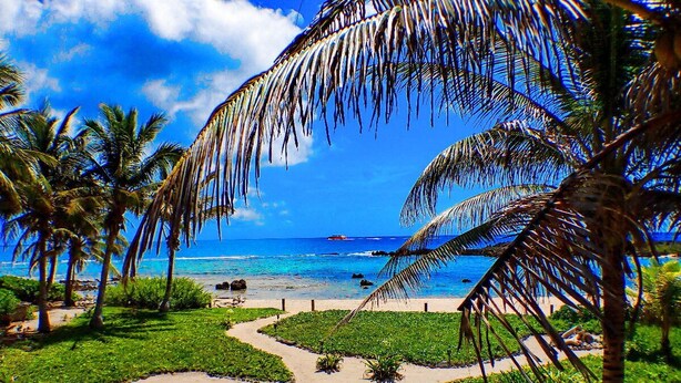 A tropical beach with palm trees and a clear blue sky.
