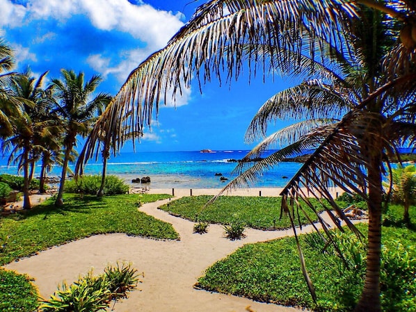 Stroll along the serene beach path to the ocean's edge, surrounded by swaying palm trees and lush greenery.