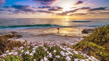 Perto da praia, espreguiçadeiras, toalhas de praia