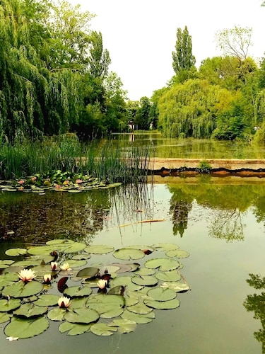 Family friendly apartment in Köthen