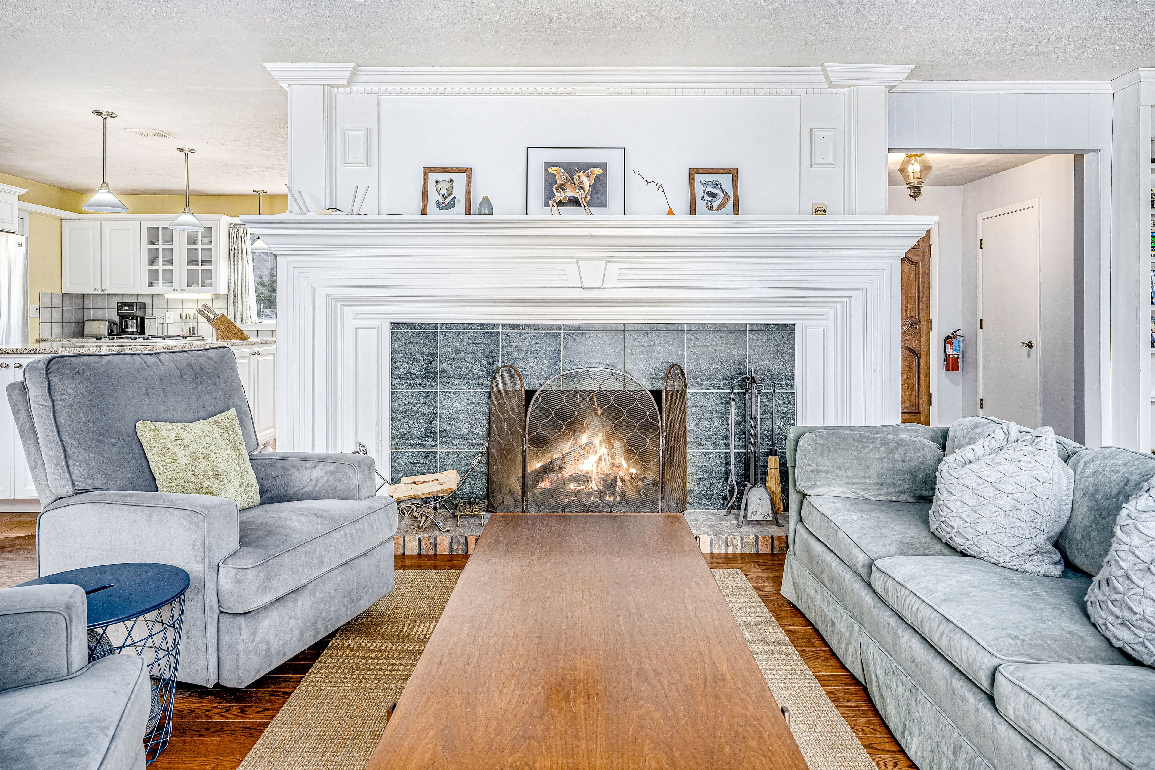 TV, fireplace, DVD player, books