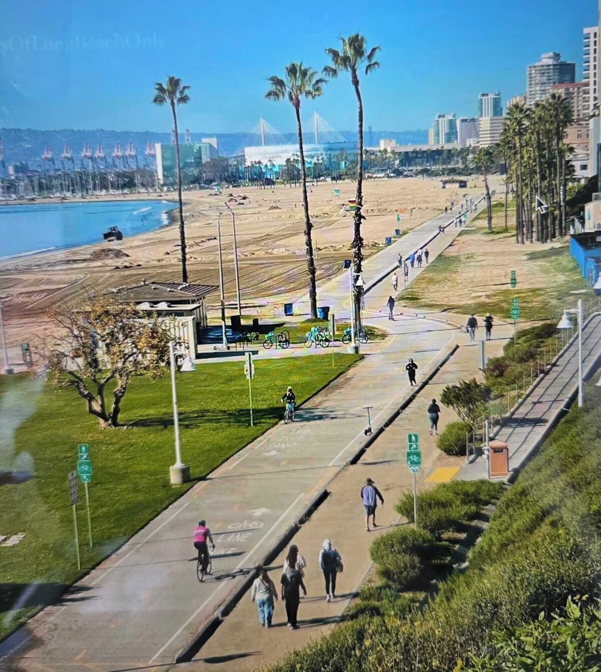 Imagen de perfil del propietario o de la propietaria