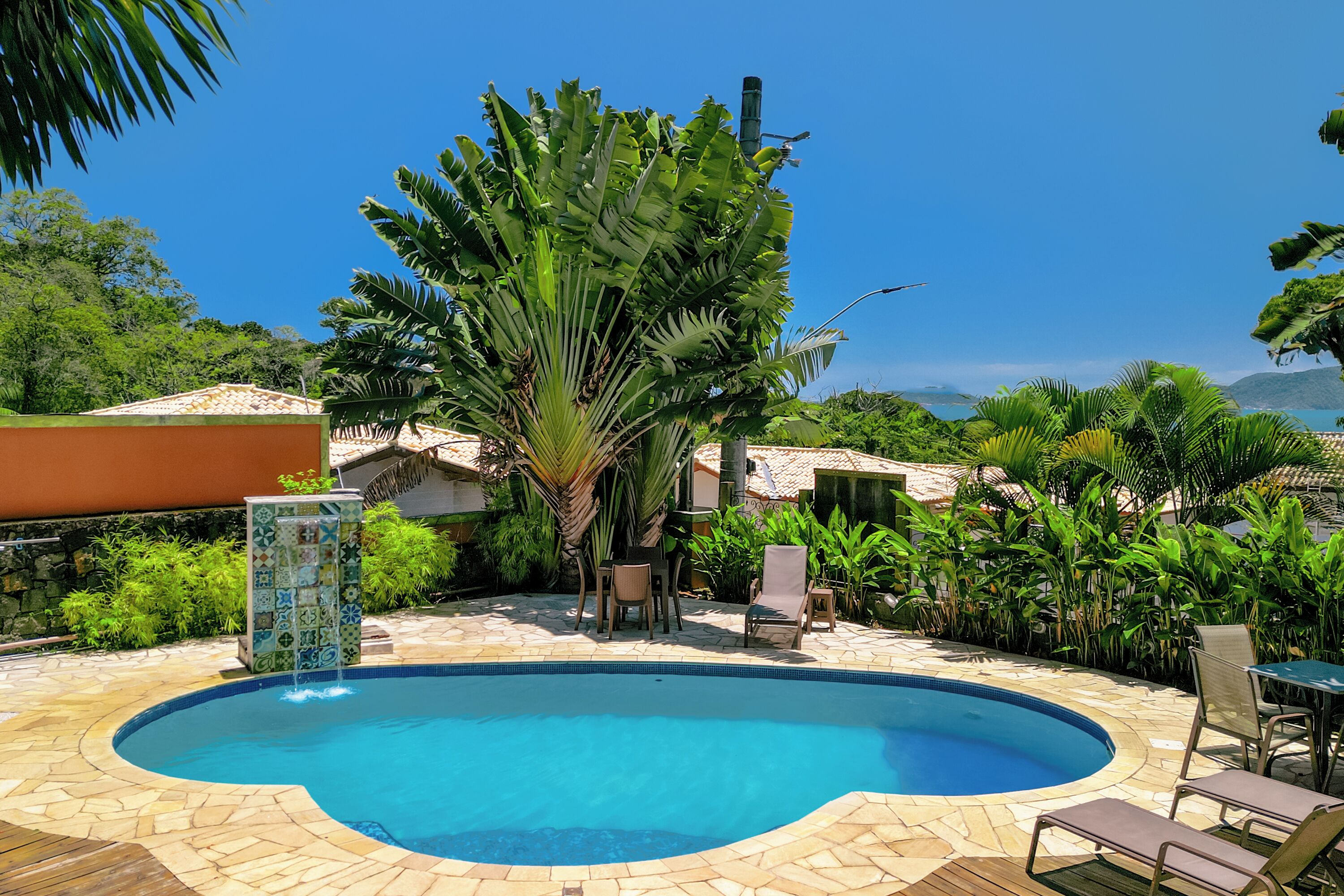 A swimming pool with a tiled edge, surrounded by lounge chairs and a palm tree.