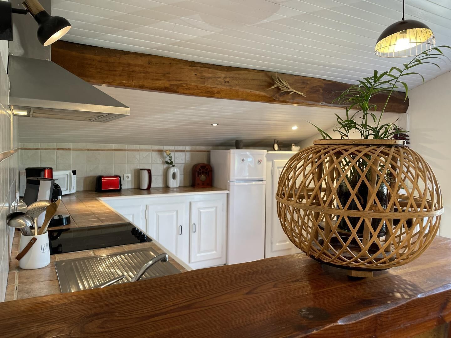 Kühlschrank, Mikrowelle, Herdplatte, Geschirrspüler