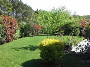 Un jardín bien cuidado con diversos arbustos y árboles, un césped impecable y un camino de piedra.