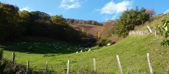 SARAHANDIA - LES-ALDUDES