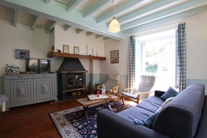 Télévision, cheminée