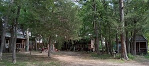 A rustic cabin surrounded by tall trees, with a dirt path leading to the entrance.