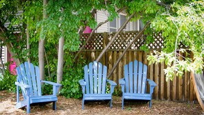 Three blue Adirondack chairs in a garden area with a wooden fence and trees in the background. - Historic Home Near Downtown & UW (Laramie)