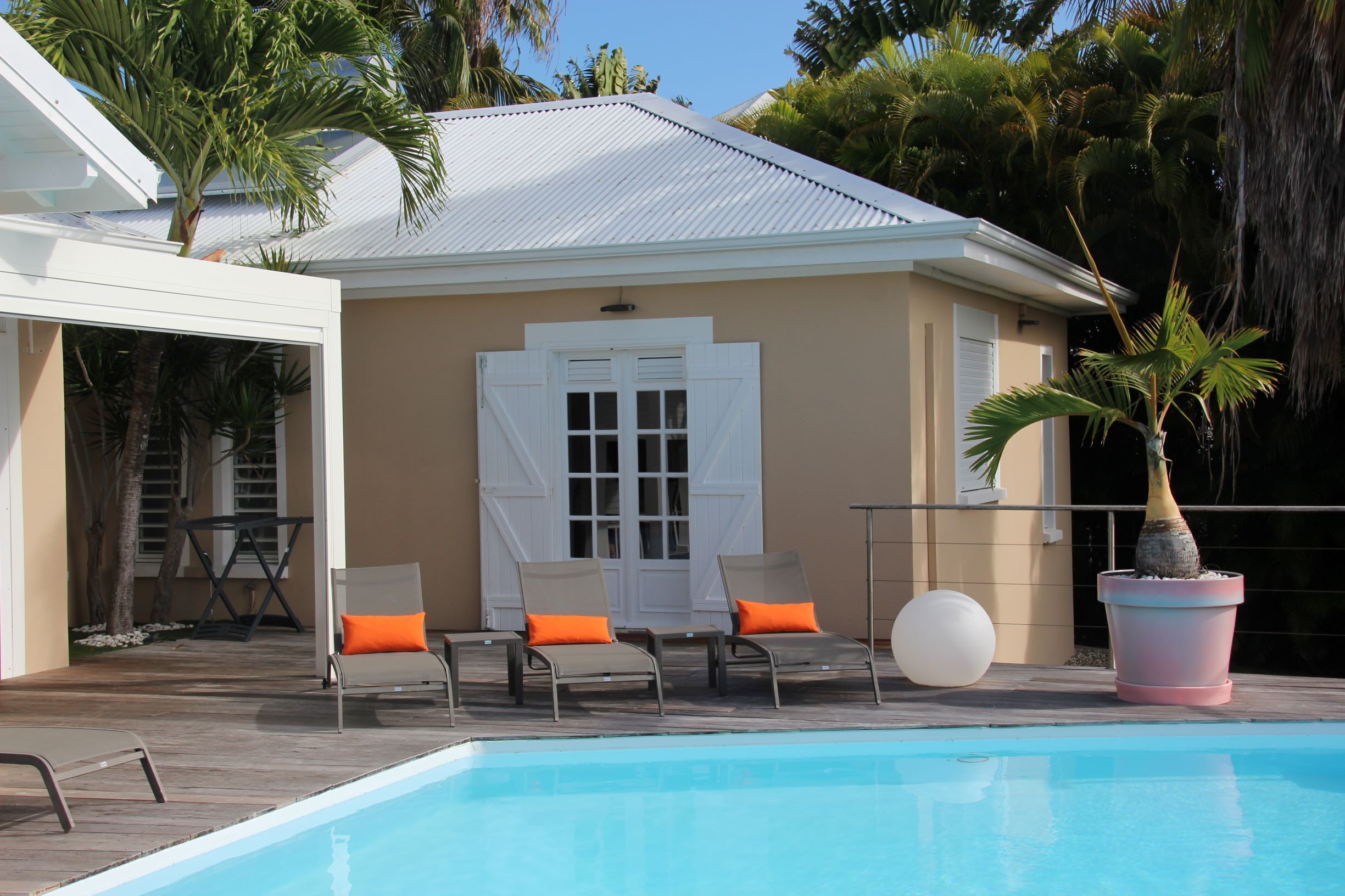 A poolside area with lounge chairs and a potted plant.