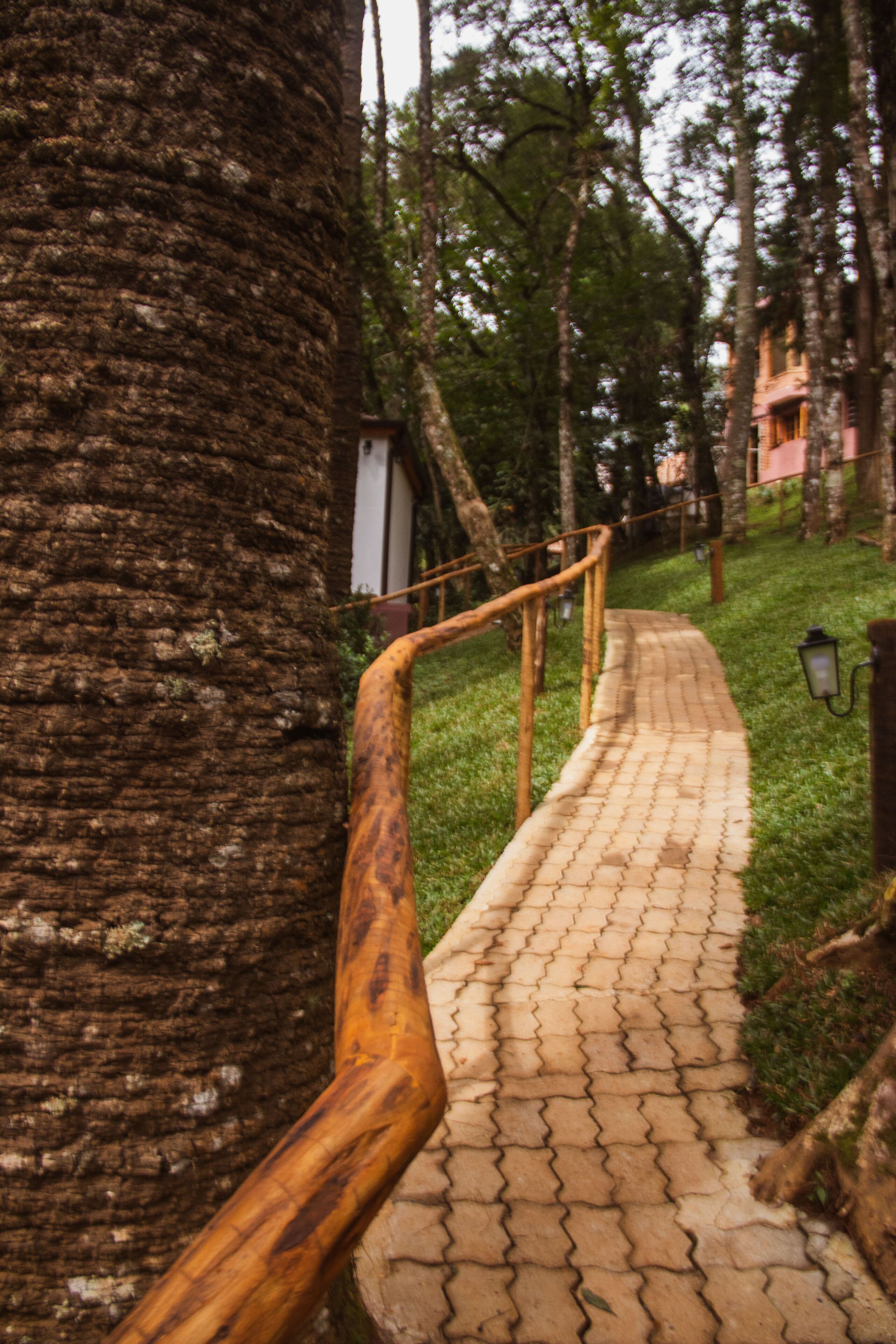 Um caminho pavimentado com grades de madeira, cercado por árvores e grama.